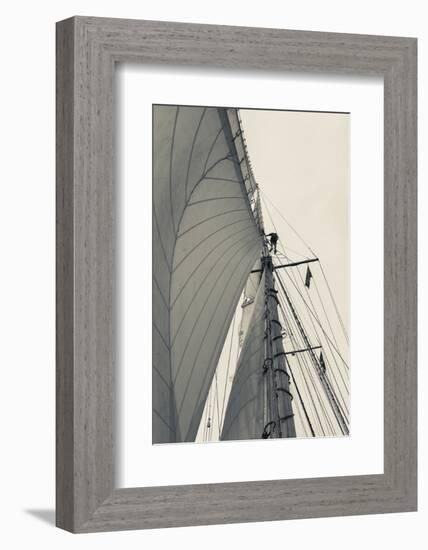 Massachusetts, Gloucester, Schooner Festival, Sailing Ship Lookout-Walter Bibikow-Framed Photographic Print