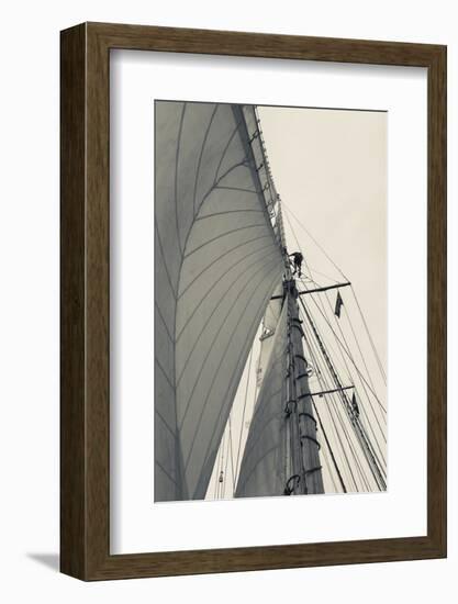 Massachusetts, Gloucester, Schooner Festival, Sailing Ship Lookout-Walter Bibikow-Framed Photographic Print