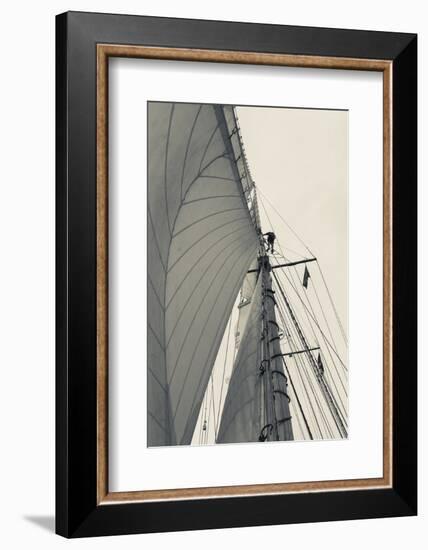 Massachusetts, Gloucester, Schooner Festival, Sailing Ship Lookout-Walter Bibikow-Framed Photographic Print