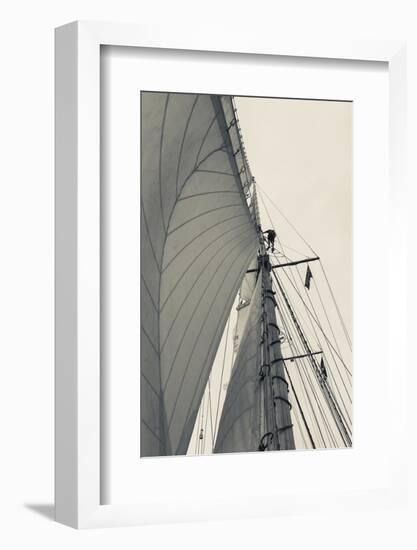 Massachusetts, Gloucester, Schooner Festival, Sailing Ship Lookout-Walter Bibikow-Framed Photographic Print