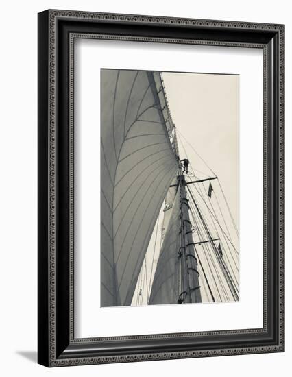 Massachusetts, Gloucester, Schooner Festival, Sailing Ship Lookout-Walter Bibikow-Framed Photographic Print