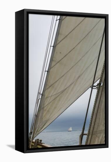 Massachusetts, Gloucester, Schooner Festival, Sails and Masts-Walter Bibikow-Framed Premier Image Canvas