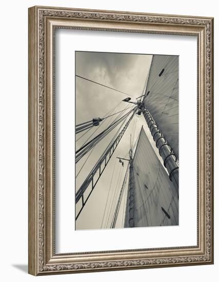 Massachusetts, Gloucester, Schooner Festival, Sails and Masts-Walter Bibikow-Framed Photographic Print