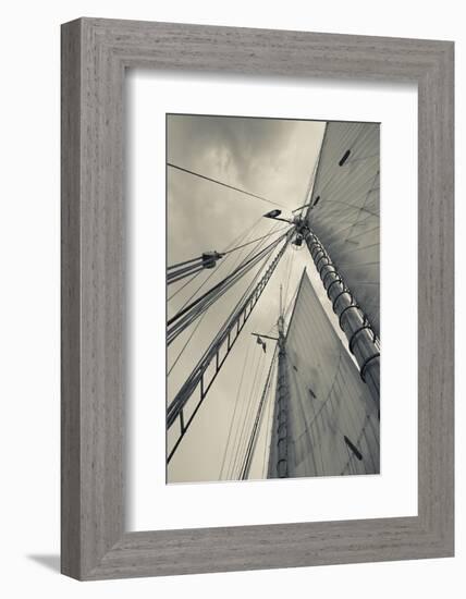 Massachusetts, Gloucester, Schooner Festival, Sails and Masts-Walter Bibikow-Framed Photographic Print