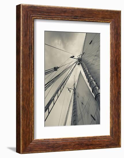 Massachusetts, Gloucester, Schooner Festival, Sails and Masts-Walter Bibikow-Framed Photographic Print