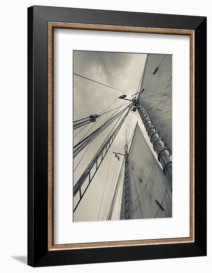 Massachusetts, Gloucester, Schooner Festival, Sails and Masts-Walter Bibikow-Framed Photographic Print