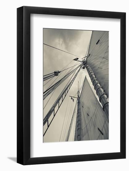 Massachusetts, Gloucester, Schooner Festival, Sails and Masts-Walter Bibikow-Framed Photographic Print