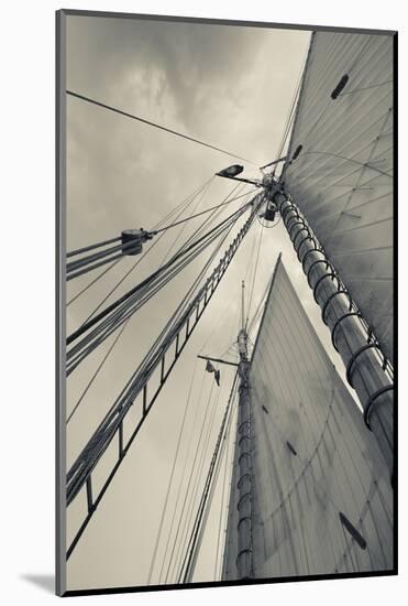 Massachusetts, Gloucester, Schooner Festival, Sails and Masts-Walter Bibikow-Mounted Photographic Print