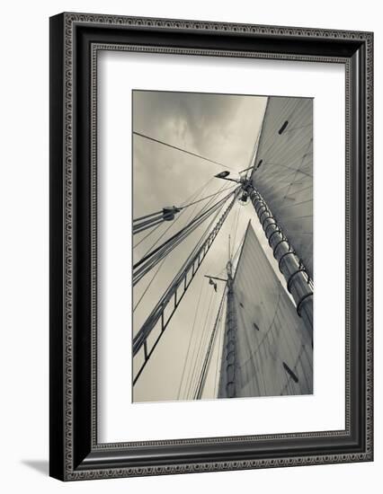 Massachusetts, Gloucester, Schooner Festival, Sails and Masts-Walter Bibikow-Framed Photographic Print