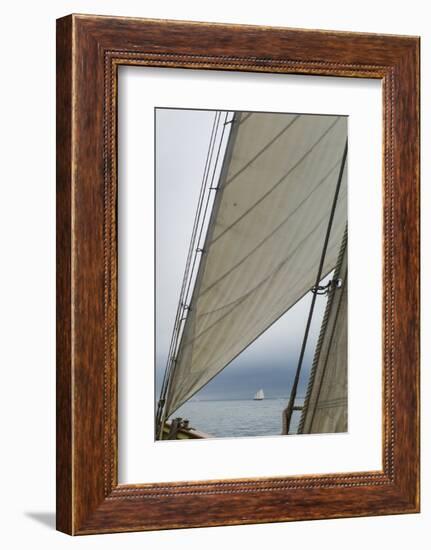 Massachusetts, Gloucester, Schooner Festival, Sails and Masts-Walter Bibikow-Framed Photographic Print