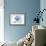 Massachusetts - Scallop Shell - Blue - Coastal Icon-Lantern Press-Framed Art Print displayed on a wall