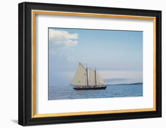 Massachusetts, Schooner Festival, Schooners in Gloucester Harbor-Walter Bibikow-Framed Photographic Print