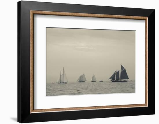 Massachusetts, Schooner Festival, Schooners in Gloucester Harbor-Walter Bibikow-Framed Photographic Print