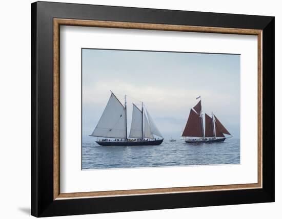 Massachusetts, Schooner Festival, Schooners in Gloucester Harbor-Walter Bibikow-Framed Photographic Print