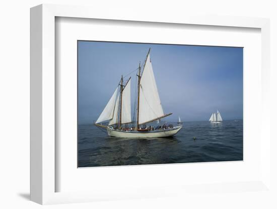 Massachusetts, Schooner Festival, Schooners in Gloucester Harbor-Walter Bibikow-Framed Photographic Print