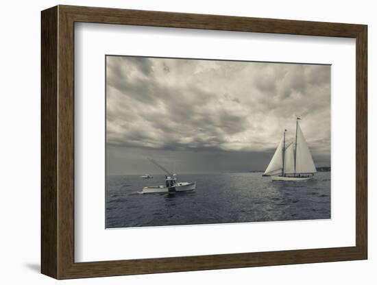 Massachusetts, Schooner Festival, Schooners in Gloucester Harbor-Walter Bibikow-Framed Photographic Print