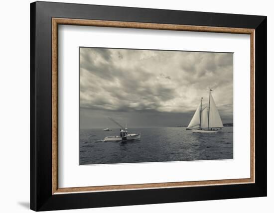 Massachusetts, Schooner Festival, Schooners in Gloucester Harbor-Walter Bibikow-Framed Photographic Print