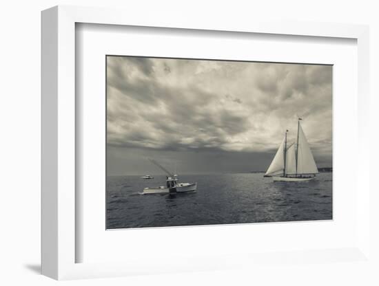 Massachusetts, Schooner Festival, Schooners in Gloucester Harbor-Walter Bibikow-Framed Photographic Print