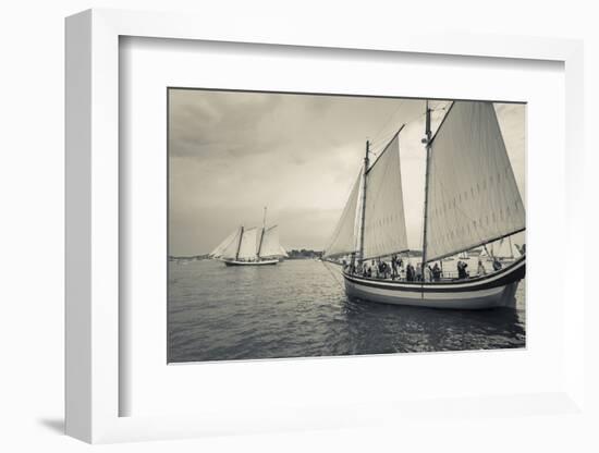 Massachusetts, Schooner Festival, Schooners in Gloucester Harbor-Walter Bibikow-Framed Photographic Print