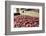 Massachusetts, Wareham, Cranberries-Jim Engelbrecht-Framed Photographic Print