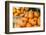 Massachusetts, Wareham, Pumpkins-Jim Engelbrecht-Framed Photographic Print