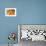 Massachusetts, Wareham, Pumpkins-Jim Engelbrecht-Framed Photographic Print displayed on a wall