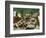 Massacre of the Innocents, 1565-Pieter Bruegel the Elder-Framed Giclee Print