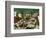 Massacre of the Innocents, 1565-Pieter Bruegel the Elder-Framed Giclee Print