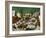 Massacre of the Innocents, 1565-Pieter Bruegel the Elder-Framed Giclee Print