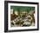 Massacre of the Innocents, 1565-Pieter Bruegel the Elder-Framed Giclee Print