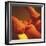 Massage-Cristina-Framed Premium Photographic Print