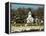 Masses of Snow Geese in Agricultural Fields of Skagit Valley, Washington, USA-Trish Drury-Framed Premier Image Canvas