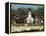 Masses of Snow Geese in Agricultural Fields of Skagit Valley, Washington, USA-Trish Drury-Framed Premier Image Canvas