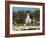 Masses of Snow Geese in Agricultural Fields of Skagit Valley, Washington, USA-Trish Drury-Framed Photographic Print