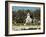 Masses of Snow Geese in Agricultural Fields of Skagit Valley, Washington, USA-Trish Drury-Framed Photographic Print