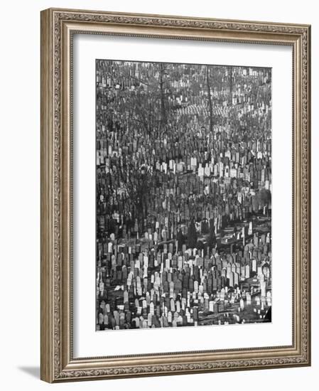 Masses of Tombstones in Cemetery in Queens-Andreas Feininger-Framed Photographic Print