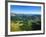 Massif Central, Auvergne Volcanoes National Park, France-David Hughes-Framed Photographic Print