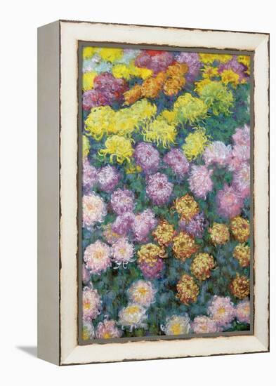 Massif De Chrysanthemes, 1897-Claude Monet-Framed Premier Image Canvas