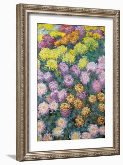 Massif De Chrysanthemes, 1897-Claude Monet-Framed Giclee Print