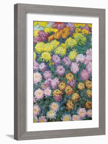 Massif De Chrysanthemes, 1897-Claude Monet-Framed Giclee Print