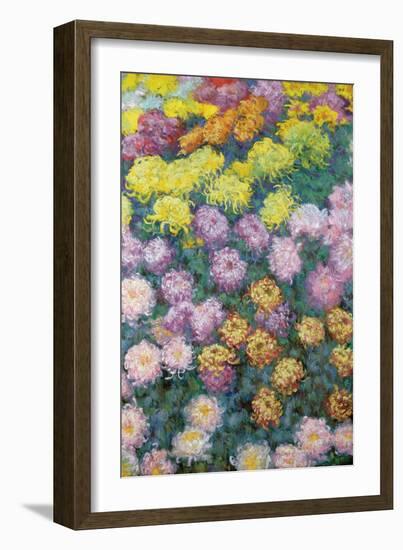 Massif De Chrysanthemes, 1897-Claude Monet-Framed Giclee Print