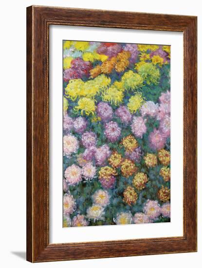 Massif De Chrysanthemes, 1897-Claude Monet-Framed Giclee Print