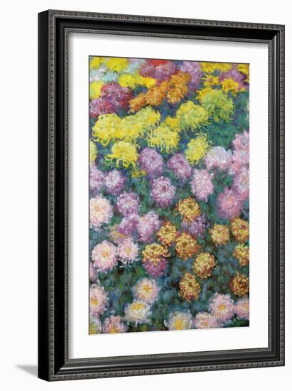 Massif De Chrysanthemes, 1897-Claude Monet-Framed Giclee Print