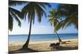 Premium Photographic Print