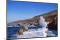 Photographic Print