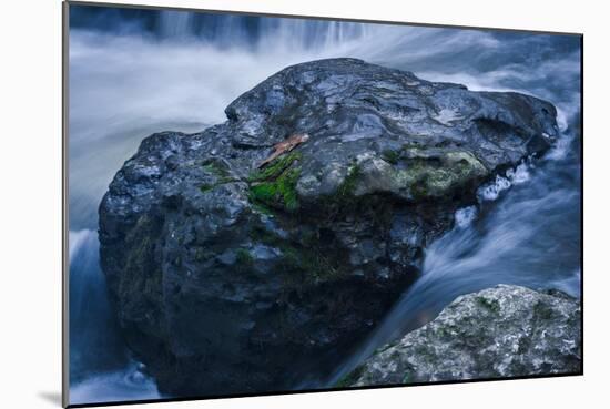 Massive Moss Covered Rock Under Waterfalls-Anthony Paladino-Mounted Giclee Print