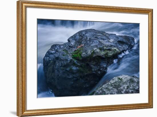 Massive Moss Covered Rock Under Waterfalls-Anthony Paladino-Framed Giclee Print