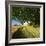 Massive Old Oak in the Field Edge, WŸnschendorf, Thuringia, Germany-Andreas Vitting-Framed Photographic Print