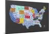 Massive USA License Plate Map-Design Turnpike-Mounted Giclee Print