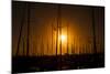 Mast Sunset-Chris Moyer-Mounted Photographic Print